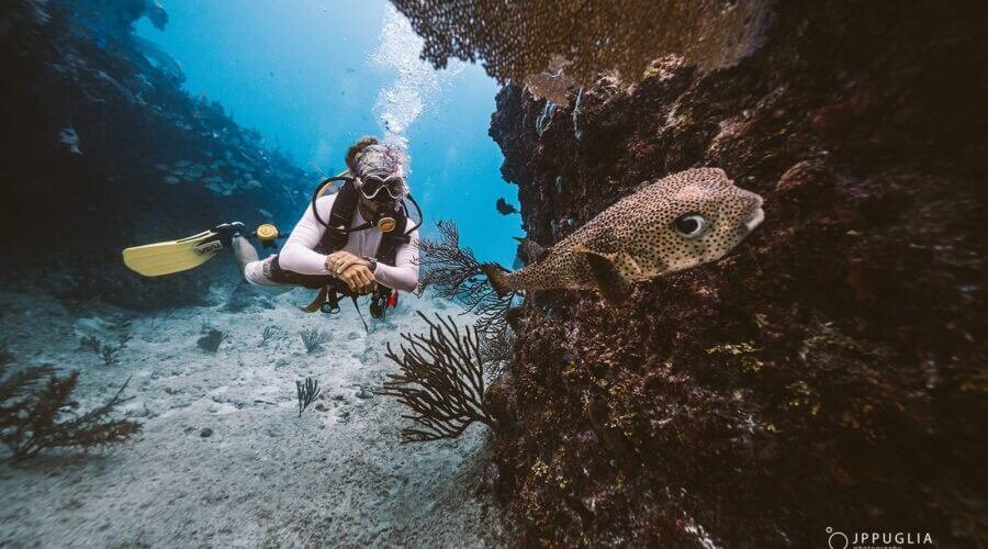 Buceo en arrecife en Cozumel